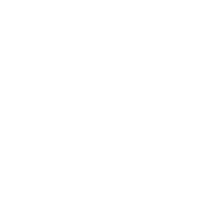 IPEMA - Voice of Play - Facebook logo - white