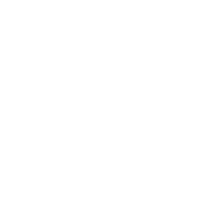 IPEMA - Voice of Play - Twitter logo - White